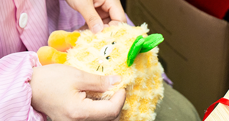 OEM and ODM plush toy service